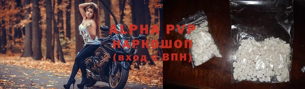 сатива Баксан