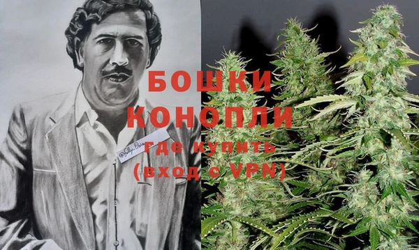 индика Балабаново